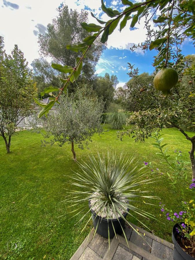 Villa D Blagaj Bagian luar foto