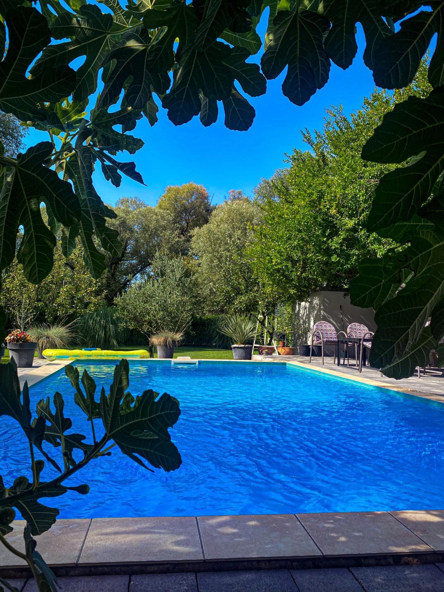 Villa D Blagaj Bagian luar foto